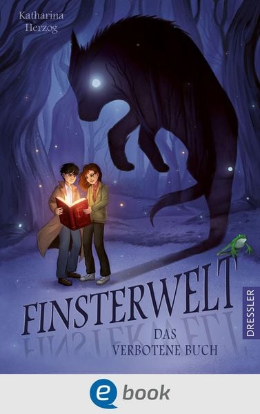 Produktbild: Finsterwelt 1. Das verbotene Buch