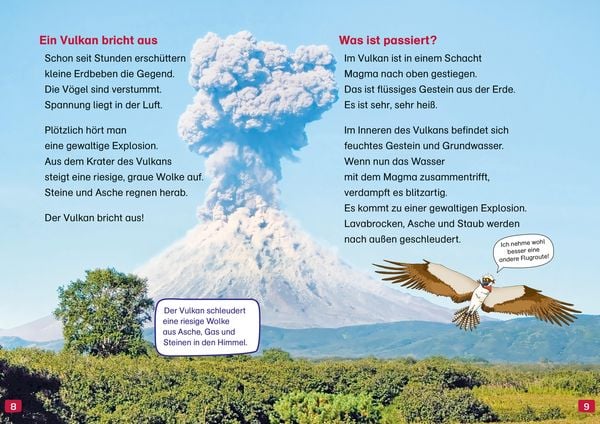 Produktbild: WAS IST WAS Erstes Lesen. Vulkane