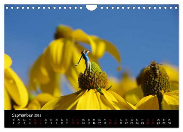 Produktbild: Minis Golf (Wandkalender 2026 DIN A4 quer), CALVENDO Monatskalender