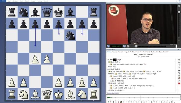 Produktbild: A practical repertoire for the positional player after 1.d4 - Vol. 2