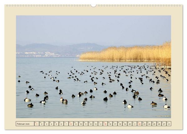 Produktbild: Impressionen vom sch&ouml;nen Bodensee (Wandkalender 2026 DIN A2 quer), CALVENDO Monatskalender