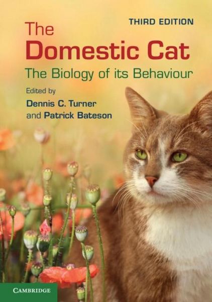 Produktbild: Domestic Cat