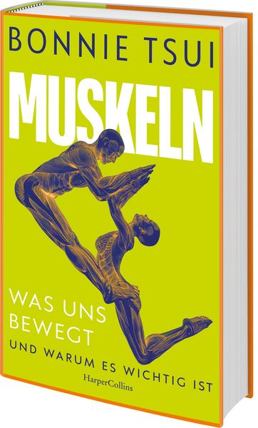 Produktbild: Muskeln. Was uns bewegt &ndash; und warum es wichtig ist
