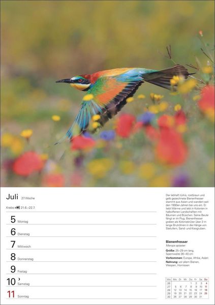 Produktbild: Heimische V&ouml;gel Wochenplaner 2027 - 53 faszinierende Fotografien