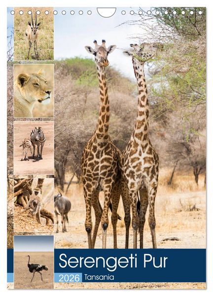Produktbild: Serengeti Pur - Tansania (Wandkalender 2026 DIN A4 hoch), CALVENDO Monatskalender