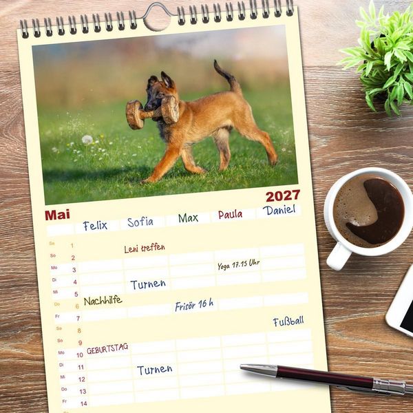 Produktbild: Familienplaner 2027 - Traumhund Malinois mit 5 Spalten (Wandkalender, 21 x 45 cm) CALVENDO