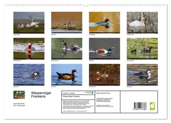 Produktbild: Wasserv&ouml;gel Frankens (hochwertiger Premium Wandkalender 2026 DIN A2 quer), Kunstdruck in Hochglanz