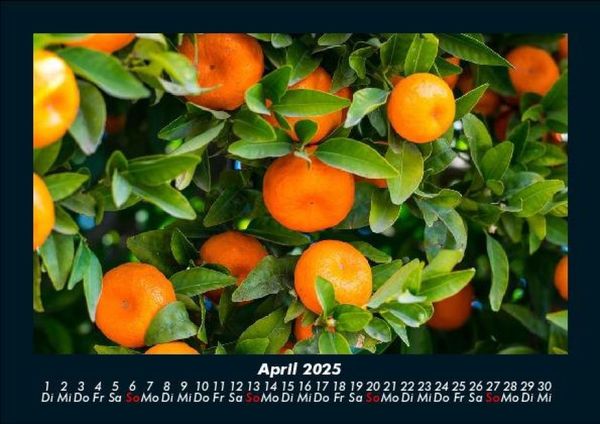 Produktbild: Obstkalender 2025 Fotokalender DIN A5