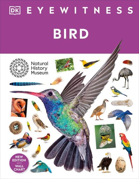 Produktbild: Bird
