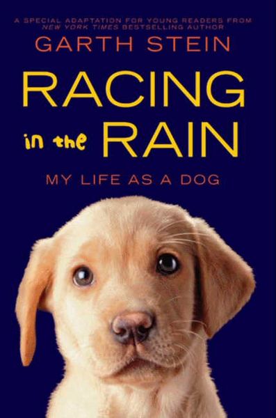 Produktbild: Stein, G: Racing in the Rain