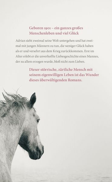 Produktbild: Im ersten Licht