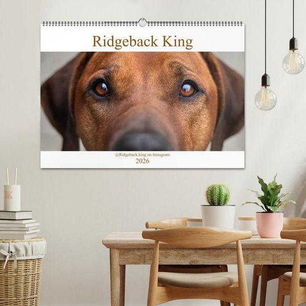 Produktbild: Ridgeback King (Wandkalender 2026 DIN A2 quer), CALVENDO Monatskalender