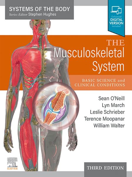 Produktbild: The Musculoskeletal System - E-Book
