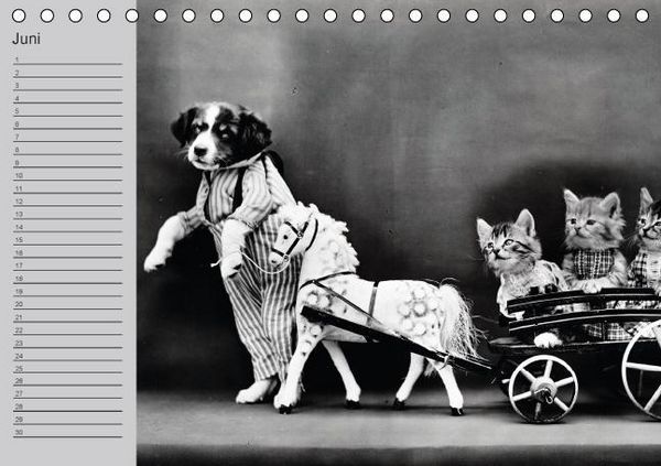 Produktbild: Katzen und Hunde - Nostalgie auf Pfoten (Tischkalender immerw&auml;hrend DIN A5 quer)