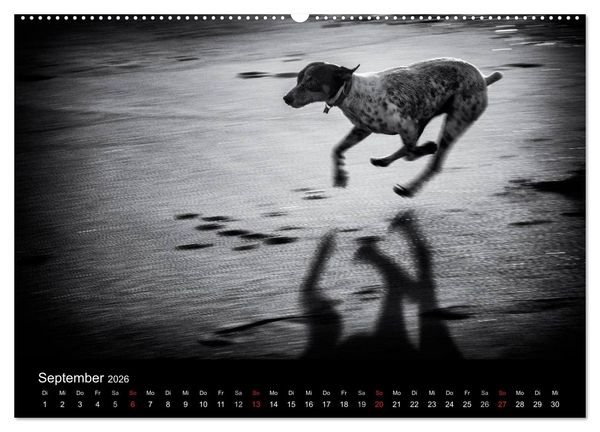 Produktbild: Das Licht in Schwarz und Wei&szlig; (Wandkalender 2026 DIN A2 quer), CALVENDO Monatskalender