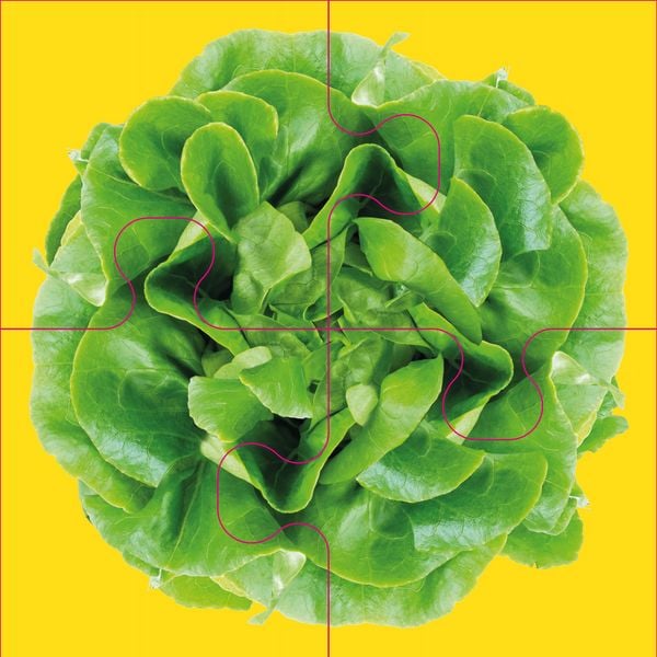 Produktbild: Das "Gelingt immer"-Puzzle Gem&uuml;se. Das Puzzle-Spiel f&uuml;r Senioren mit Demenz
