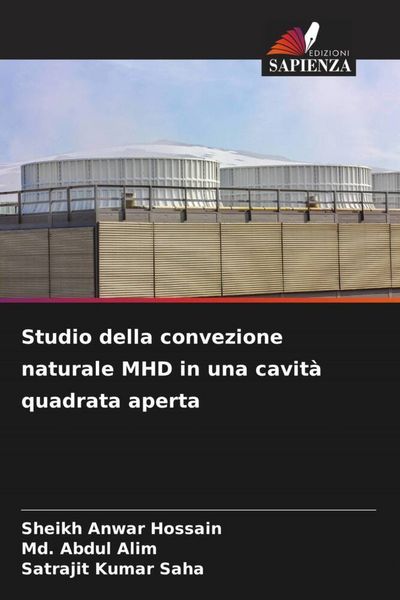 Produktbild: Studio della convezione naturale MHD in una cavit&agrave; quadrata aperta
