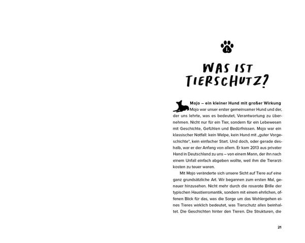 Produktbild: Streuner - von der Stra&szlig;e direkt ins Herz