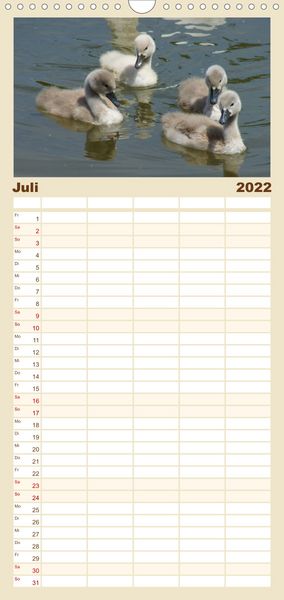 Produktbild: Das faszinierende Leben der Schw&auml;ne - Familienplaner hoch (Wandkalender 2022 , 21 cm x 45 cm, hoch)