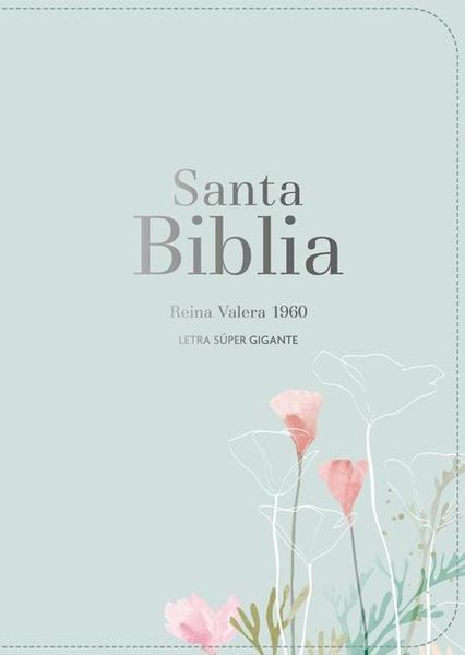 Produktbild: Biblia Rvr 1960 Letra S&uacute;per Gigante S&iacute;mil Piel Menta (Bible Rvr 1960 Super Giant Print Leatherlike Mint (Spanish Edition)