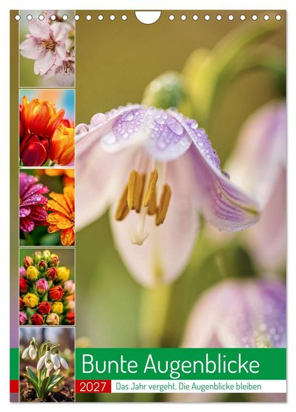 Produktbild: Bunte Augenblicke (Wandkalender 2027 DIN A4 hoch), CALVENDO Monatskalender