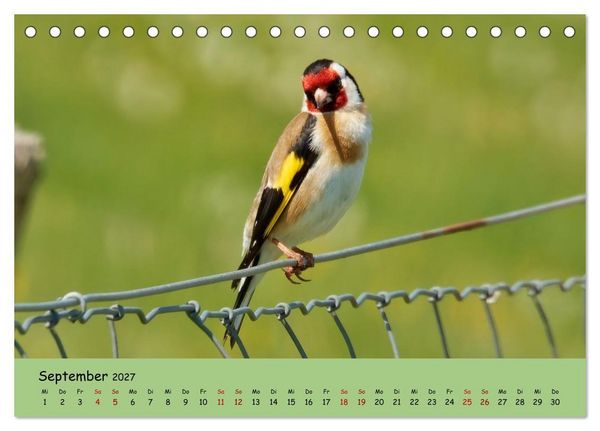 Produktbild: Faszination Zugv&ouml;gel - Rekorde in der Vogelwelt (Tischkalender 2027 DIN A5 quer), CALVENDO Monatskalender