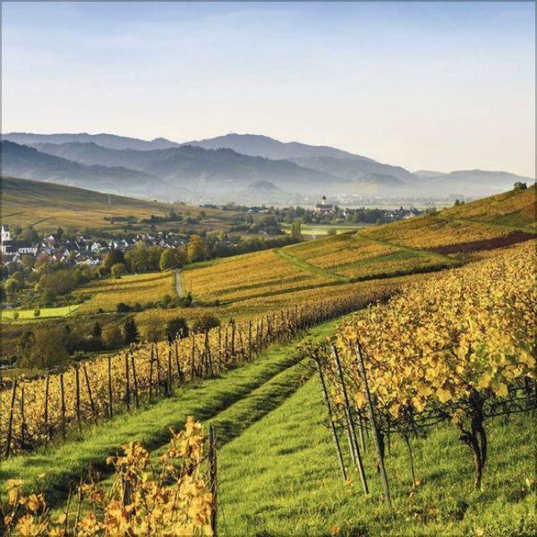 Produktbild: Schwarzwald 2027