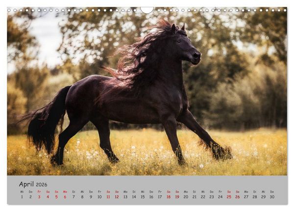 Produktbild: Spiegel deiner Seele (Wandkalender 2026 DIN A3 quer), CALVENDO Monatskalender