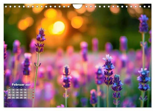 Produktbild: Lavendel f&uuml;r deine Sinne (Wandkalender 2027 DIN A4 quer), CALVENDO Monatskalender