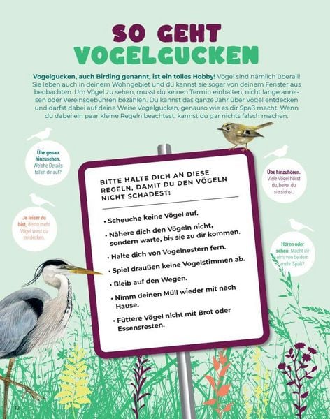 Produktbild: Birding &ndash; Entdecke die Wunderwelt der V&ouml;gel.