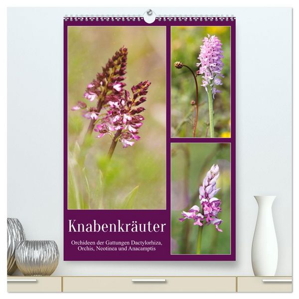 Produktbild: Knabenkr&auml;uter (hochwertiger Premium Wandkalender 2026 DIN A2 hoch), Kunstdruck in Hochglanz
