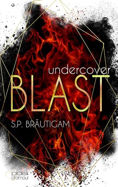 Undercover: Blast, Paperback von S.P. Bräutigam, Plaisir d'Amour Verlag, 9783864953811