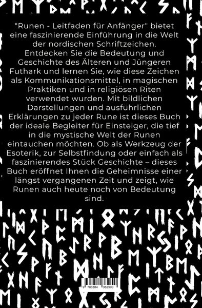 Produktbild: Runen - Ein Leitfaden f&uuml;r Anf&auml;nger