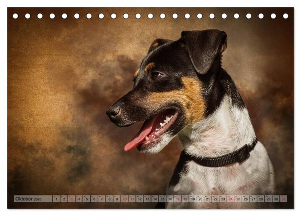 Produktbild: Jagdhunde im Portrait (Tischkalender 2026 DIN A5 quer), CALVENDO Monatskalender