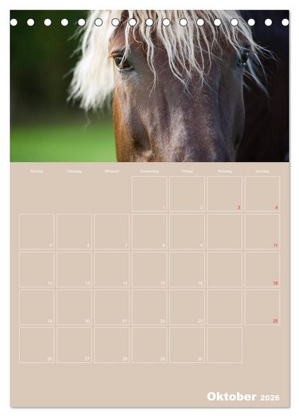 Produktbild: Pferde / Planer (Tischkalender 2026 DIN A5 hoch), CALVENDO Monatskalender