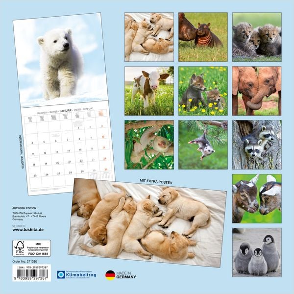 Produktbild: Tierbabys / Baby Animals 2027