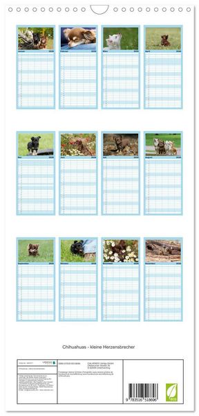 Produktbild: Familienplaner 2026 - Chihuahuas - kleine Herzensbrecher mit 5 Spalten (Wandkalender, 21 x 45 cm) CALVENDO