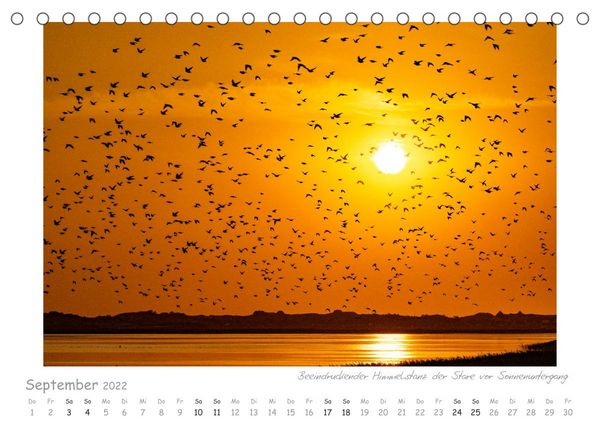 Produktbild: Die Nordseek&uuml;ste J&uuml;tlands - Leuchtt&uuml;rme und Mee(h)r (Tischkalender 2022 DIN A5 quer)