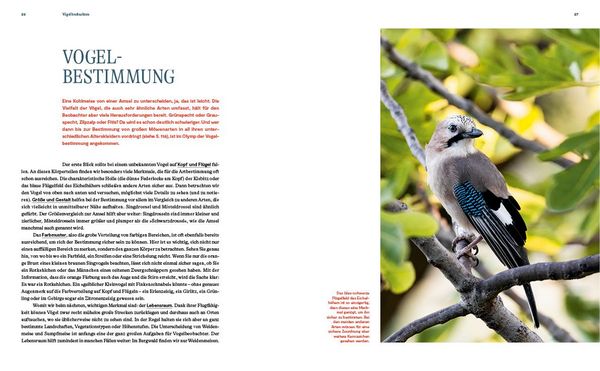 Produktbild: Unsere Vogelwelt