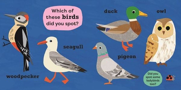 Produktbild: National Trust: My Very First Spotter's Guide: I Spot a Duck