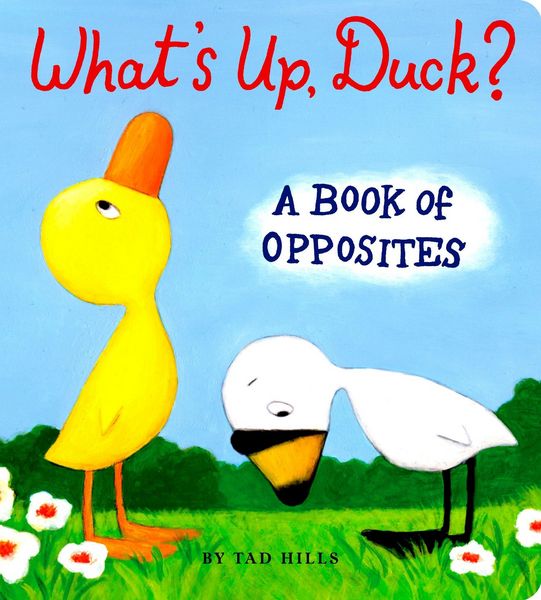 Produktbild: What's Up, Duck?