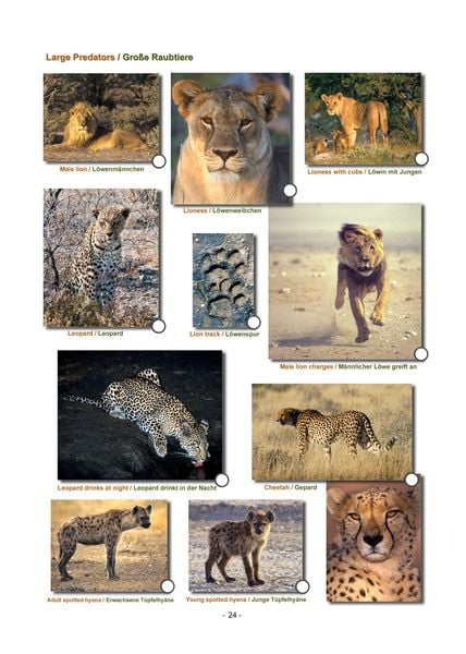 Produktbild: ETOSHA KARTE mit Fotogalerie