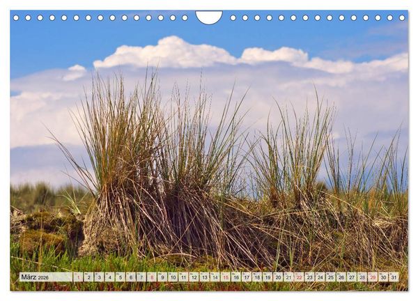 Produktbild: Nordseeinsel Amrum (Wandkalender 2026 DIN A4 quer), CALVENDO Monatskalender