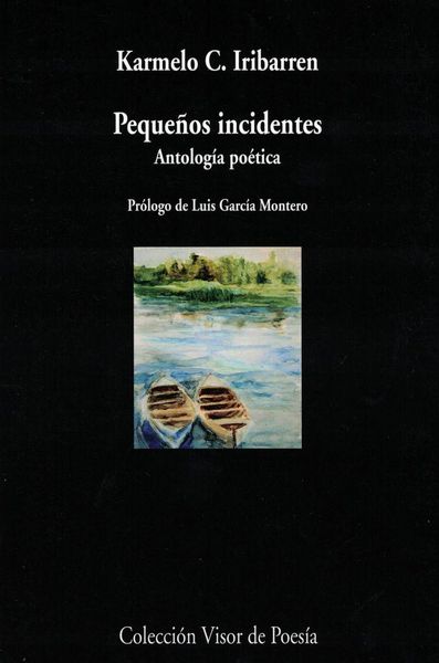 Produktbild: Peque&ntilde;os incidentes : antolog&iacute;a po&eacute;tica
