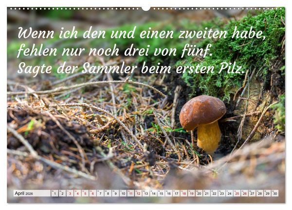 Produktbild: Junge, was hast du`s eilig (hochwertiger Premium Wandkalender 2026 DIN A2 quer), Kunstdruck in Hochglanz