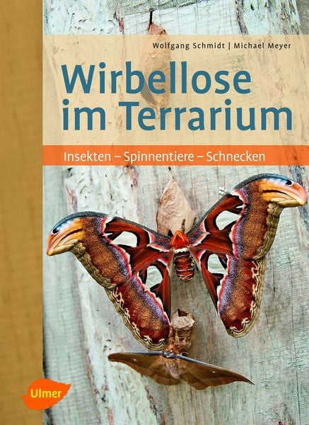 Wirbellose im Terrarium, Gebundene Ausgabe von Wolfgang Schmidt , Michael Meyer, Verlag Eugen Ulmer, 9783800156825