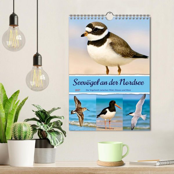 Produktbild: Seev&ouml;gel an der Nordsee (Wandkalender 2027 DIN A4 hoch), CALVENDO Monatskalender