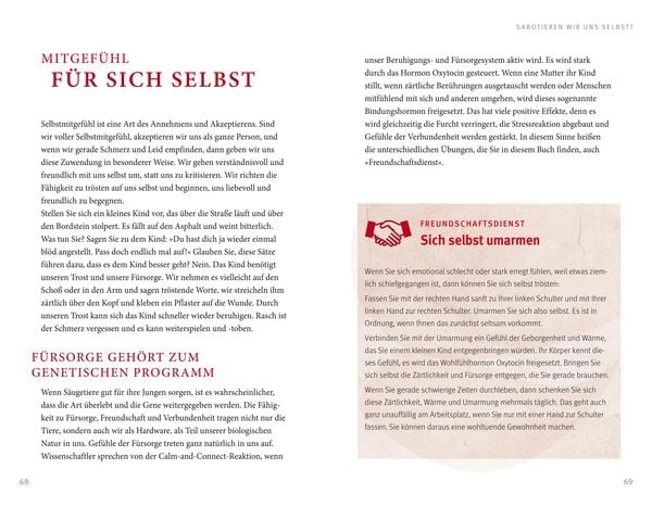 Der Feind in meinem Kopf