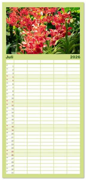 Produktbild: Familienplaner 2026 - Orchidaceae - Orchideen mit 5 Spalten (Wandkalender, 21 x 45 cm) CALVENDO