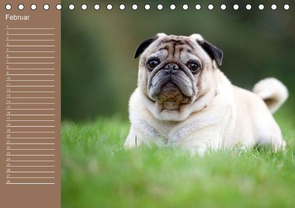 Produktbild: Ein Mops f&uuml;rs Herz (Tischkalender immerw&auml;hrend DIN A5 quer)